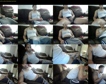 sharkdickwilly