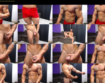 bestmuscle