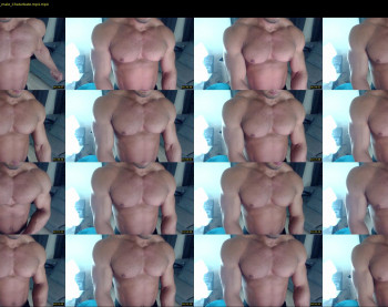 flex_x_x