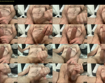 puslicker4