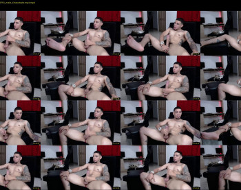 stephalverto