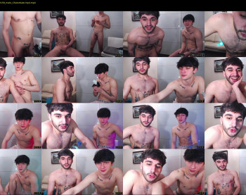 teddy_mode