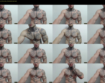 thebestmuscles