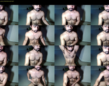 toyboyq
