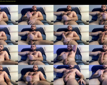 wolfdudefun