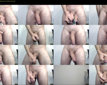 divercelli87