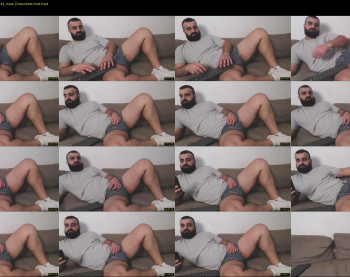 djefri_bear