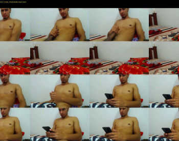 ffredhihardd