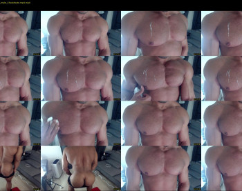 flex_x_x