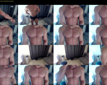 flex_x_x