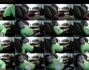 sharkdickwilly