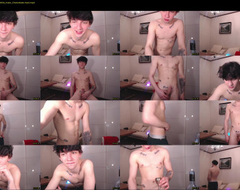 teddy_mode