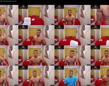 teddyfit19cm