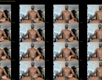 ty17341