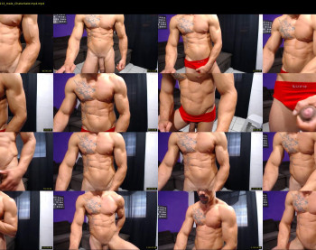 bestmuscle