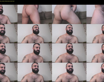 djefri_bear