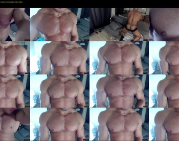 flex_x_x