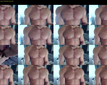 flex_x_x