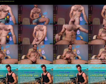 hot_bear_