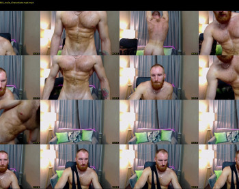 king_harley