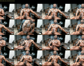 pantherforever207