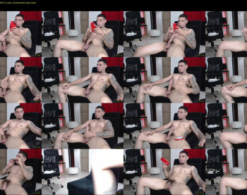 stephalverto