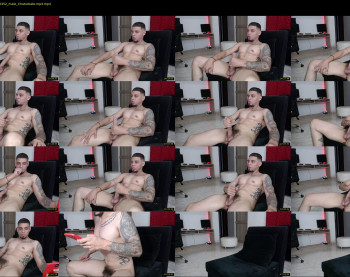 stephalverto
