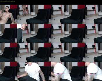 stephalverto