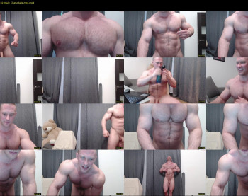 andry_dick