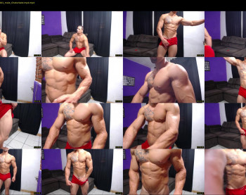 bestmuscle