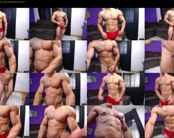 bestmuscle