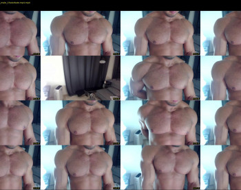 flex_x_x