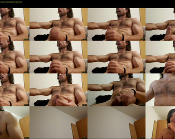 friedflip