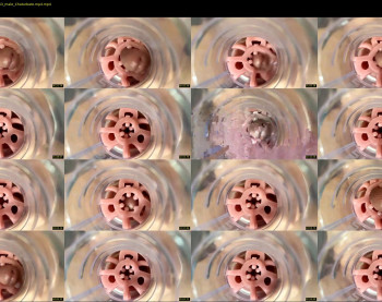 jkrubs665