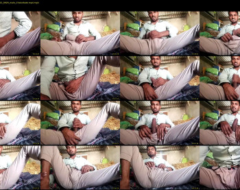 nehayadav8511