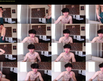 teddy_mode