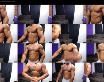 bestmuscle