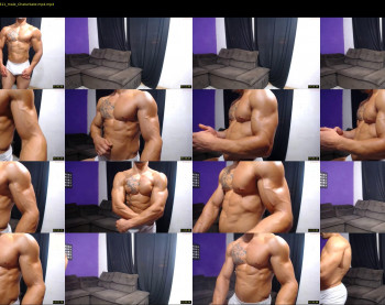 bestmuscle