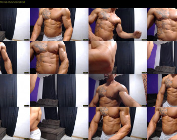 bestmuscle