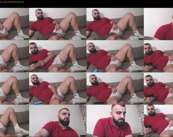 djefri_bear