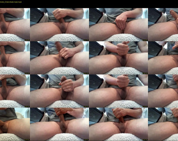 dt8383