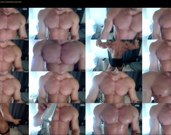 flex_x_x