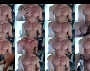flex_x_x
