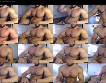jasphermscl