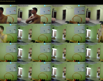 apollobest77