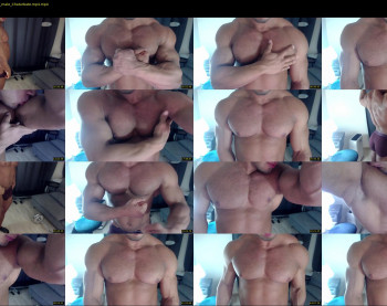 flex_x_x