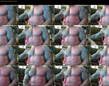hardbody205a