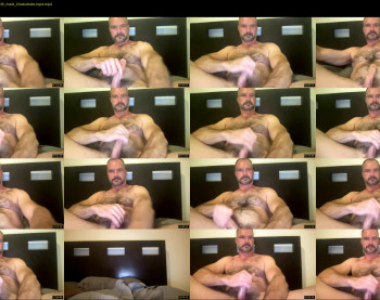 musclbear