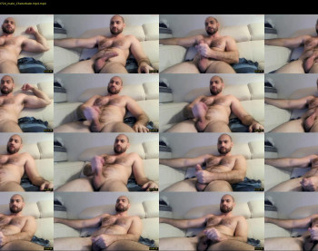 wolfdudefun