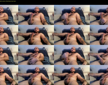 wolfdudefun